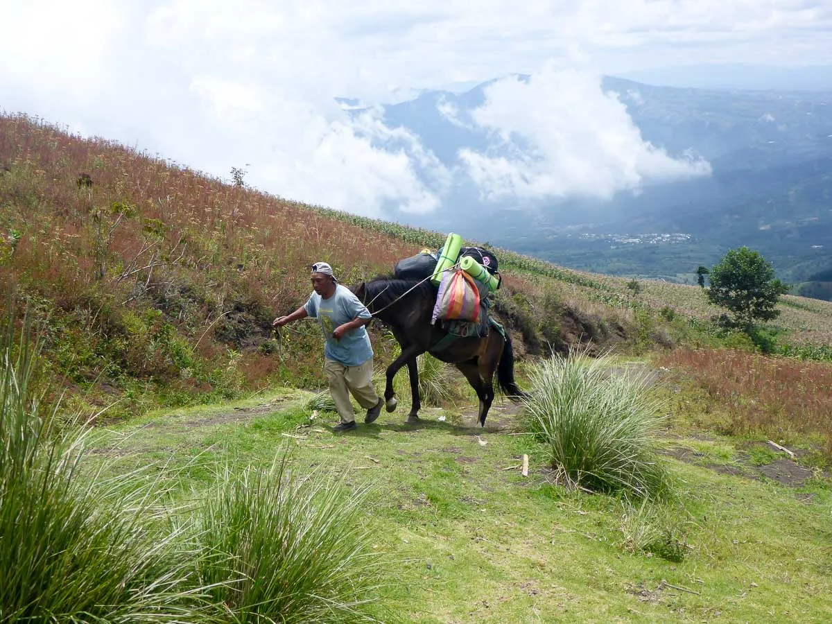 acatenengo mule