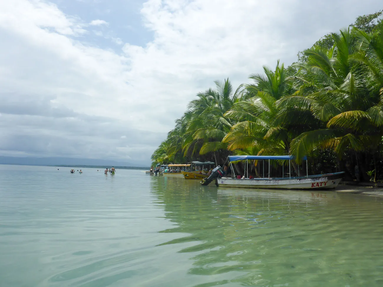 starfish beach