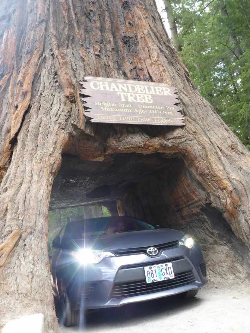 chandelier tree car