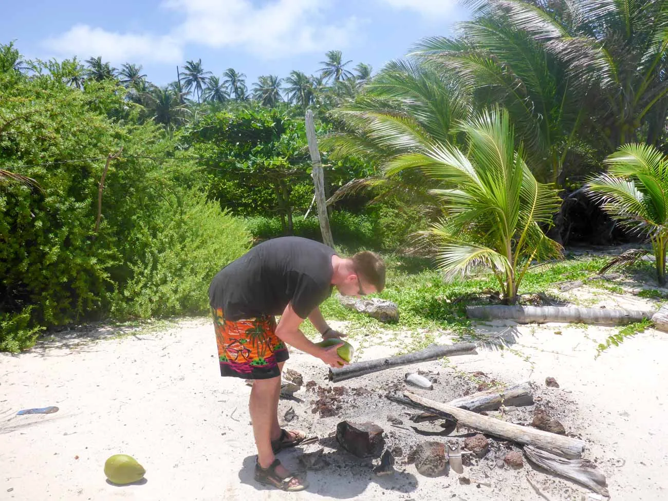 finding coconut on little corn