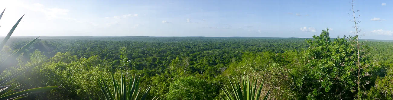 el tigre panarama