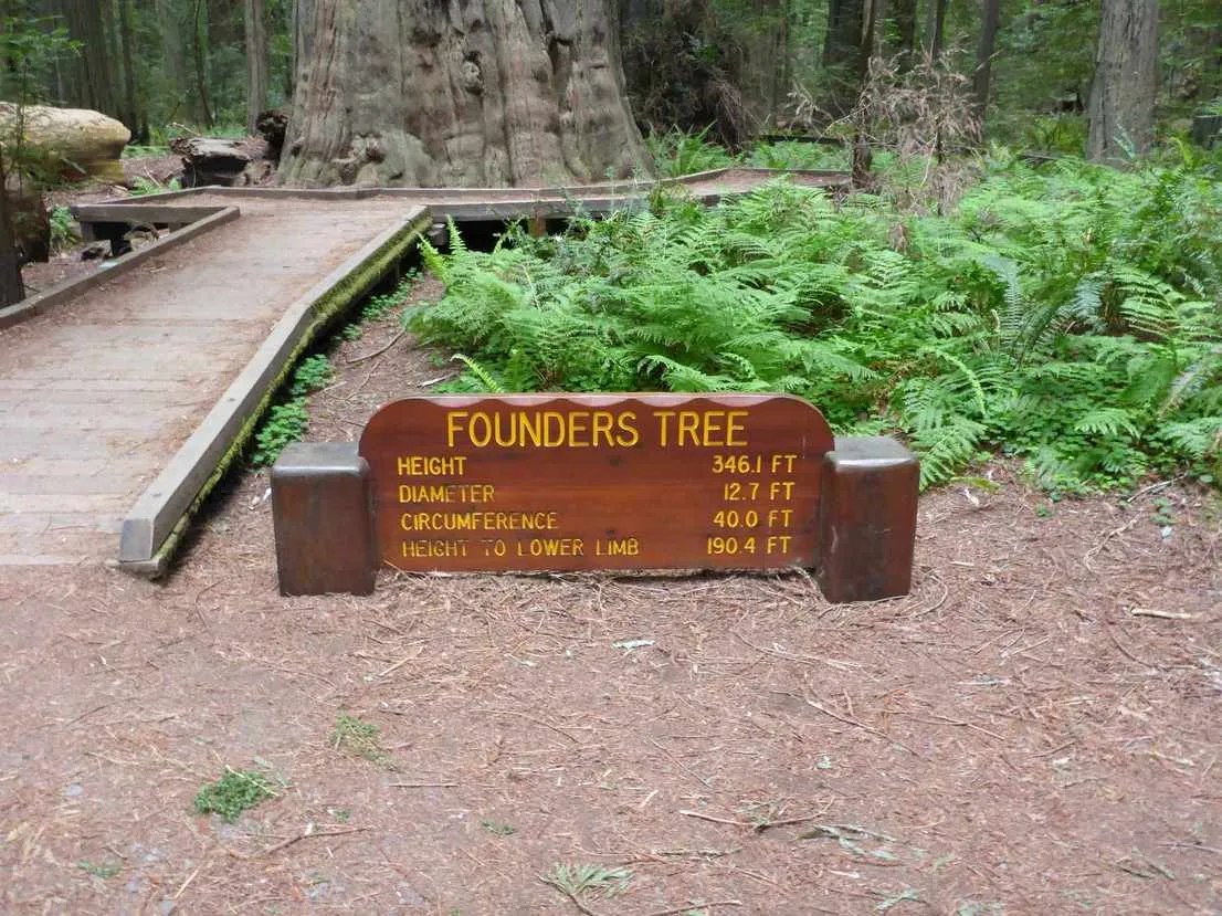 founders grove sign