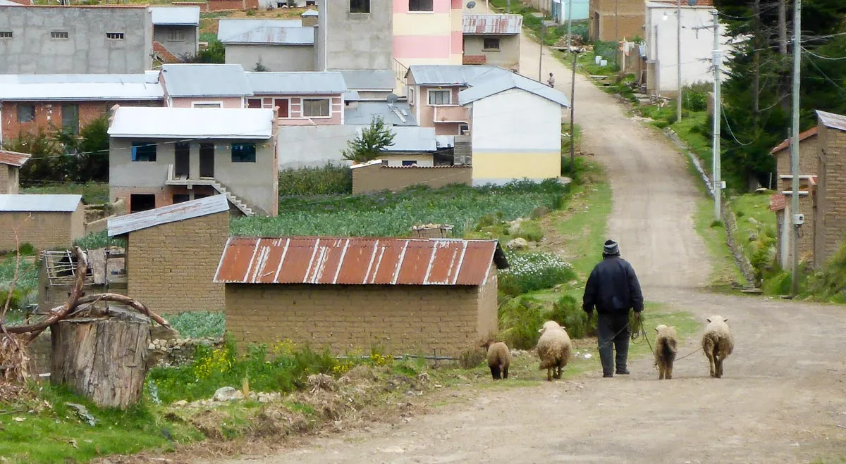 yamputa sheep herder