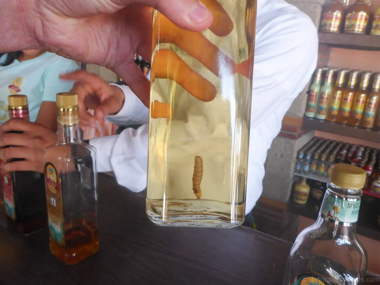 mezcal worm in bottle