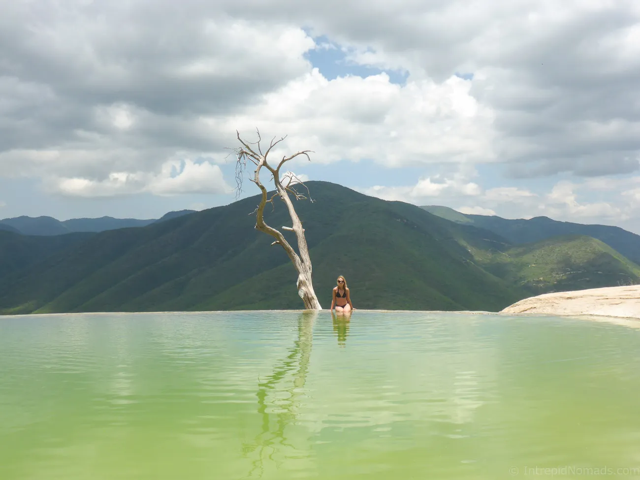 hierve el agua pool tree