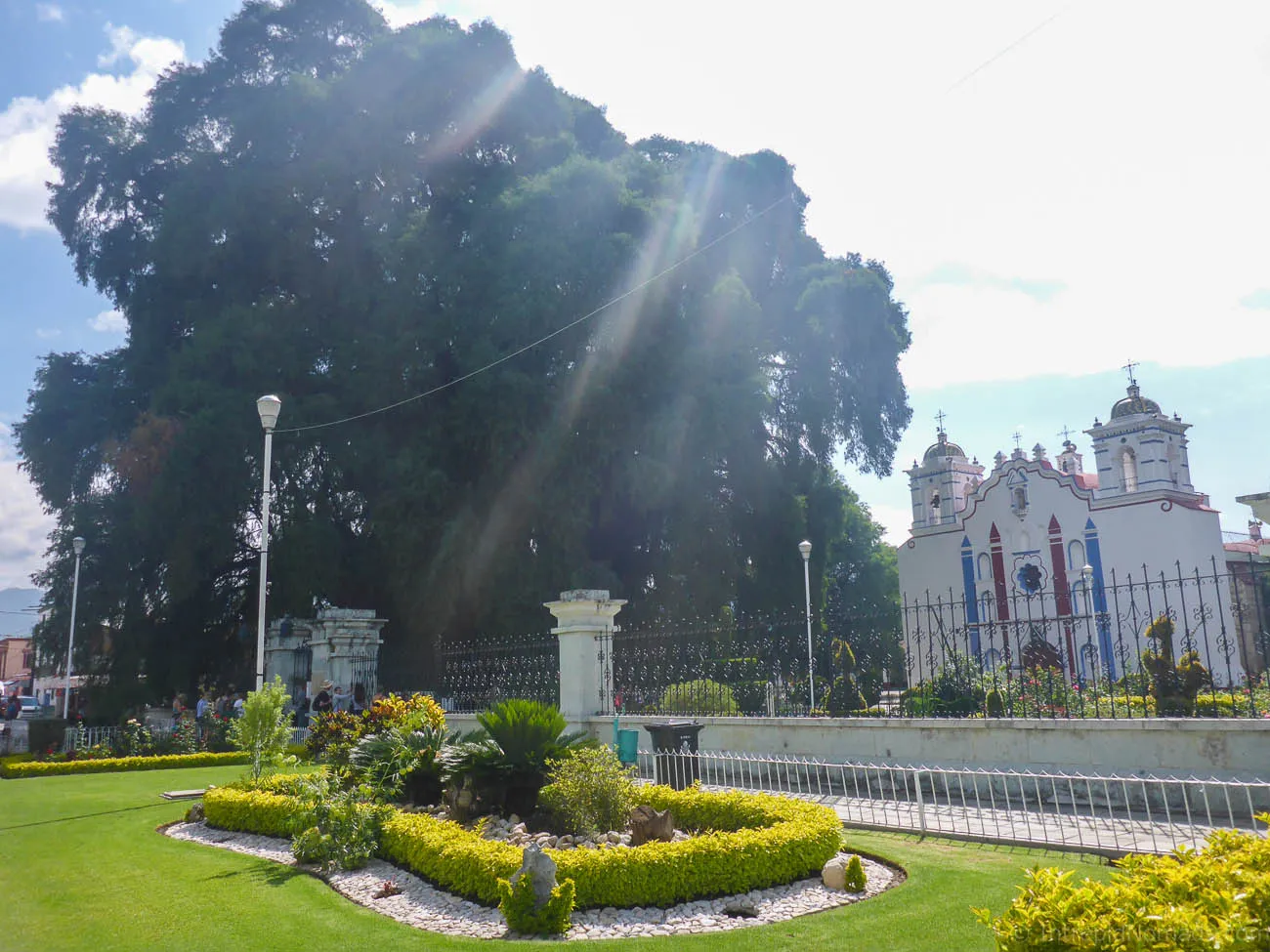 santa maria del tule church