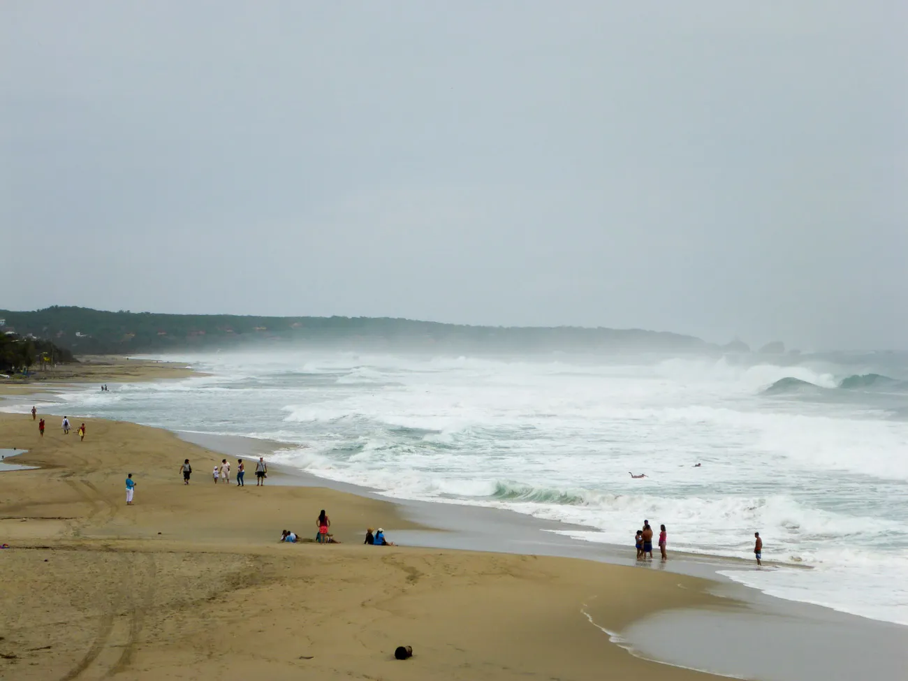 puerto escondio zicatella