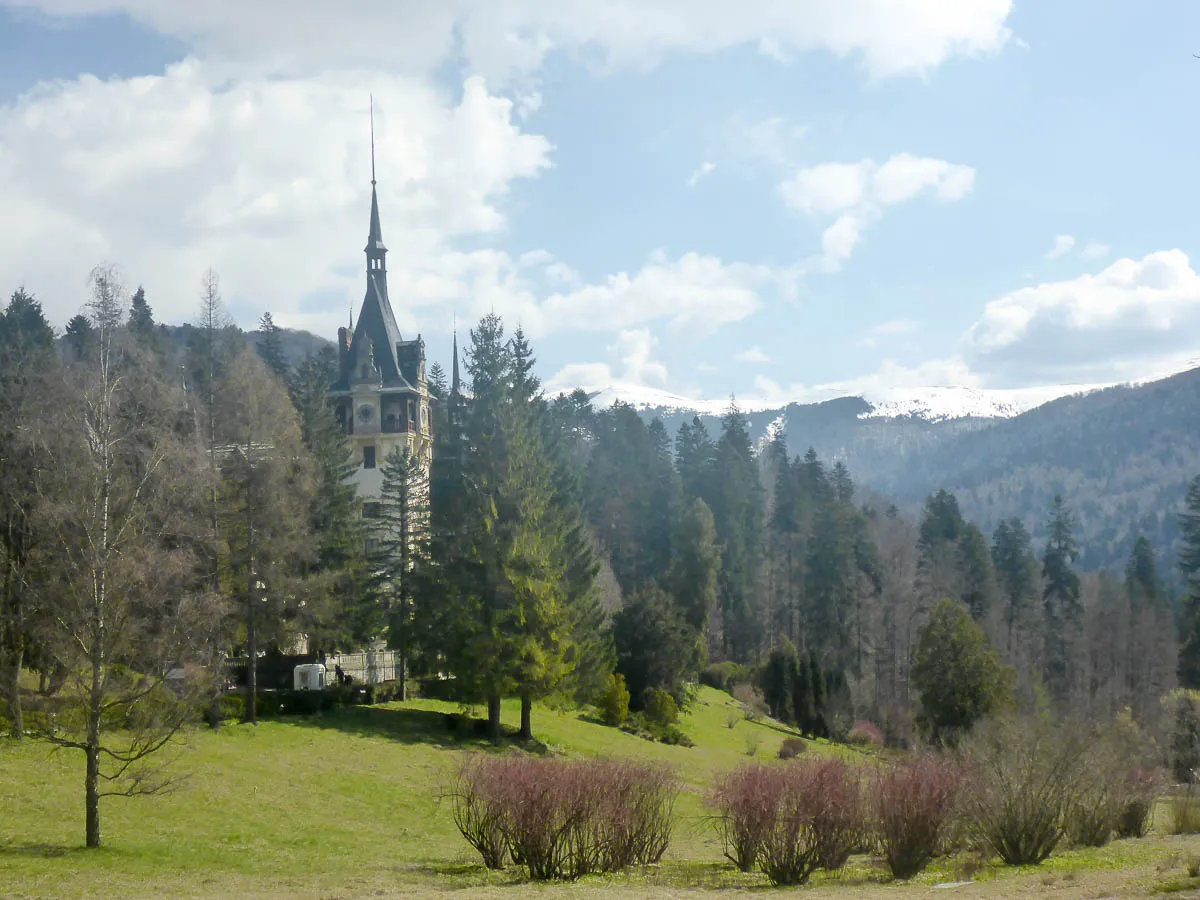 peles castle in the tress