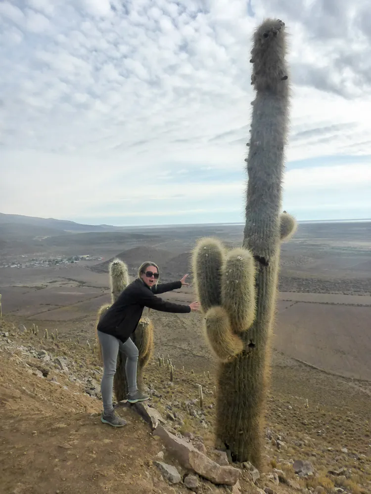 giant cactus at salar de uyuni