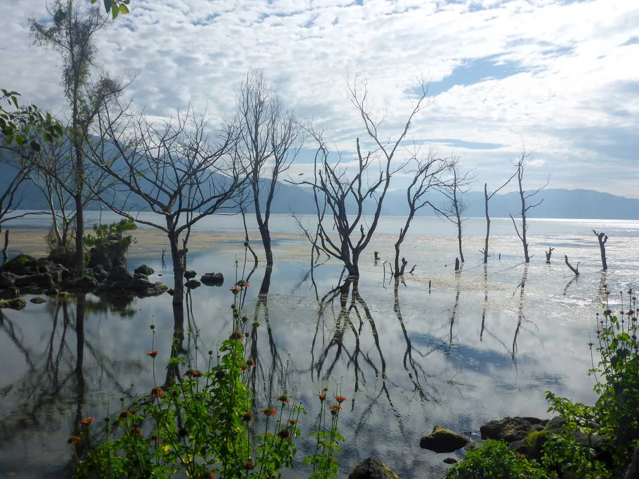 lake atitlan view from san pedro spanish school